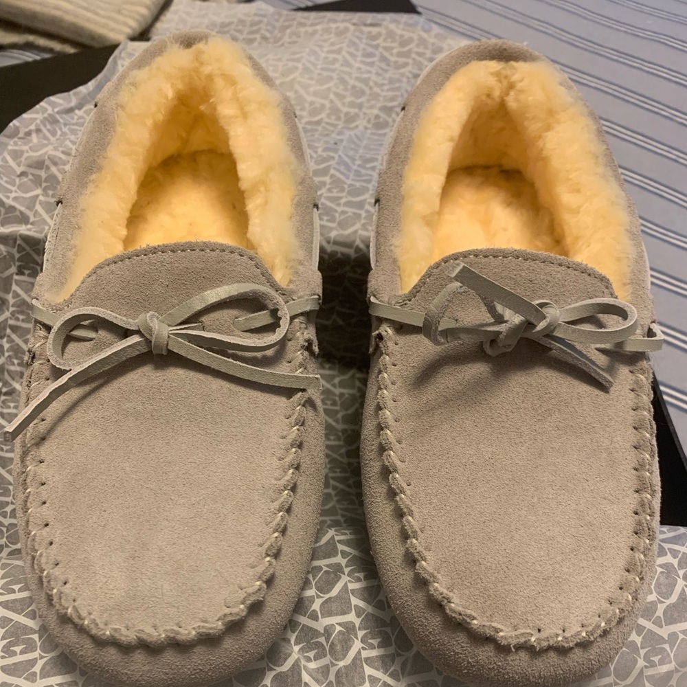 New in Box.  Australia Luxe Collective Prost Sheepskin slippers